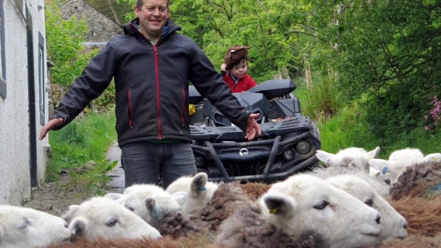 La vida de un pastor ovejero, un éxito en libros e internet