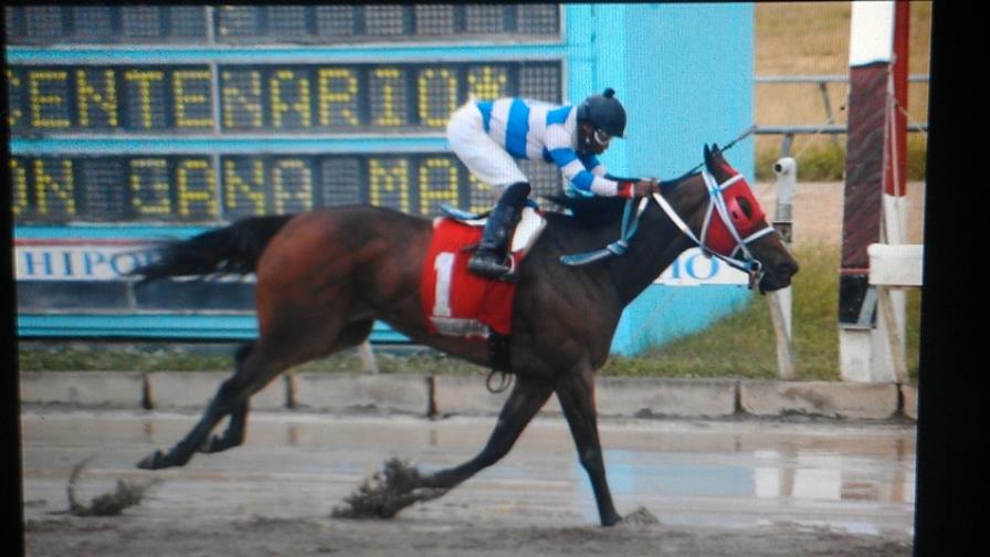 Suprise Force fue la vencedora en la carrera estelar en el V hipódromo Centenario