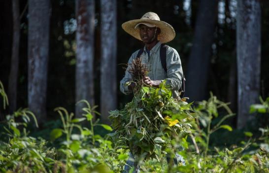 Alimentos de la bandera llegan al consumidor hasta 200% más caros que el precio que ofrece el productor Alimentos de la bandera llegan al consumidor hasta 200% más caros que el precio que ofrece el productor