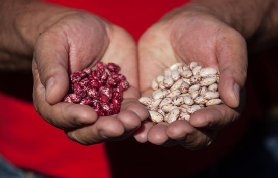 Alimentos de la bandera llegan al consumidor hasta 200% más caros que el precio que ofrece el productor Alimentos de la bandera llegan al consumidor hasta 200% más caros que el precio que ofrece el productor