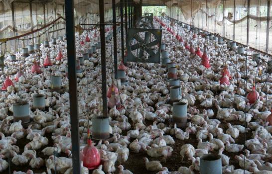 Alimentos de la bandera llegan al consumidor hasta 200% más caros que el precio que ofrece el productor Alimentos de la bandera llegan al consumidor hasta 200% más caros que el precio que ofrece el productor