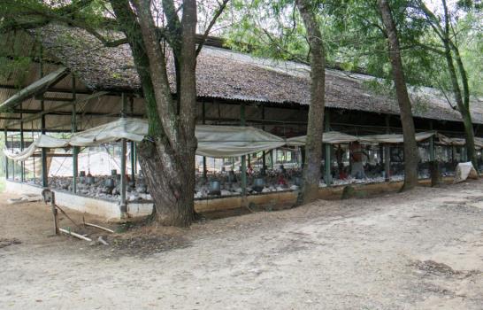 Alimentos de la bandera llegan al consumidor hasta 200% más caros que el precio que ofrece el productor Alimentos de la bandera llegan al consumidor hasta 200% más caros que el precio que ofrece el productor