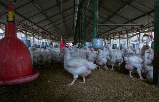 Alimentos de la bandera llegan al consumidor hasta 200% más caros que el precio que ofrece el productor Alimentos de la bandera llegan al consumidor hasta 200% más caros que el precio que ofrece el productor