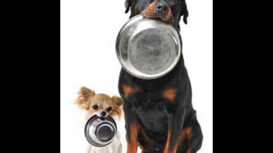 No come por falta de dientes