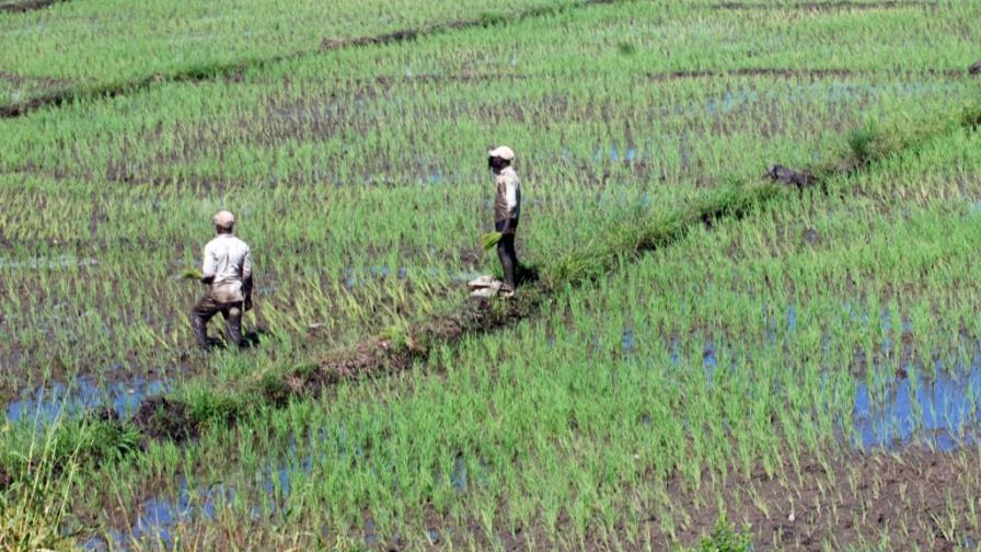 Haití, el segundo mercado mayor del mundo para bienes dominicanos Haití, el segundo mercado mayor del mundo para bienes dominicanos