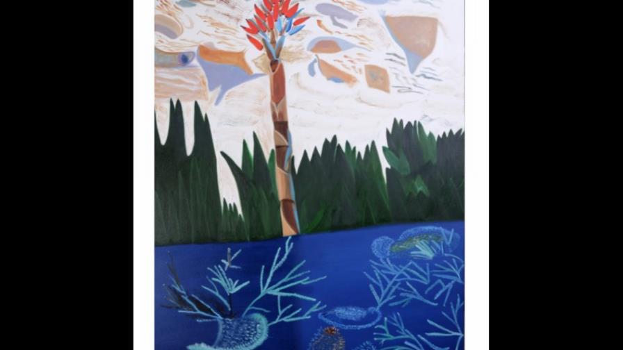 “Anastomosis”, sigue muestra hasta el viernes