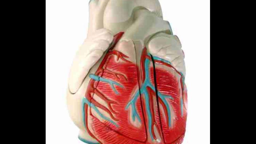 Cardiólogos advierten sobre uso de sustancias para rendimiento físico