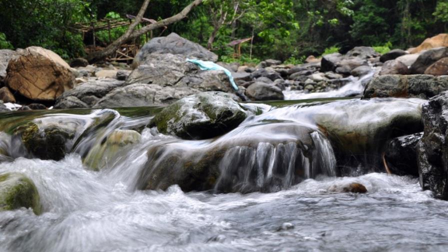 Los ríos y los bosques Los ríos y los bosques