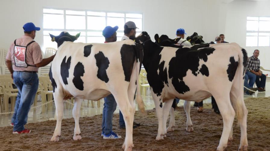 Empresarios de Haití comprarían ganado en la Feria Agropecuaria 2015