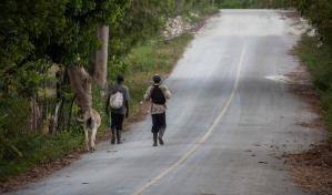 La FAO pide financiación urgente para asistir a unos 608,000 haitianos y evitar el hambre