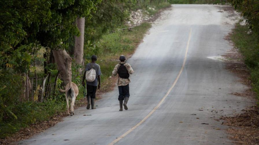 La FAO pide financiación urgente para asistir a unos 608,000 haitianos y evitar el hambre