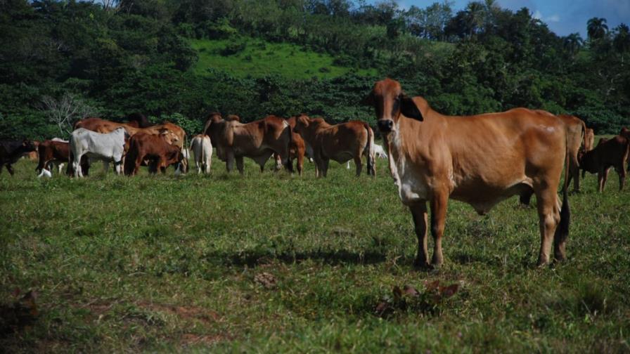 Programa busca mitigar degradación de suelos