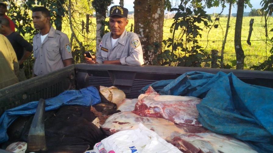 Hombre se suicida tras ser sorprendido con dos vacas robadas Hombre se suicida tras ser sorprendido con dos vacas robadas