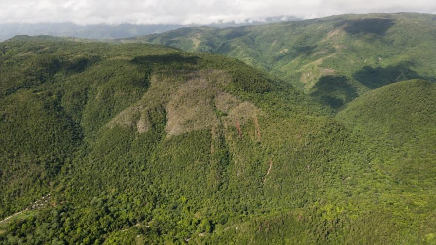 Academia de Ciencias: Necesario declarar Loma Miranda, Parque Nacional Academia de Ciencias: Necesario declarar Loma Miranda, Parque Nacional