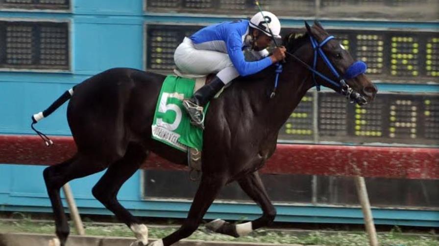 Acrisolado domina la prueba estelar de este martes en el V Centenario