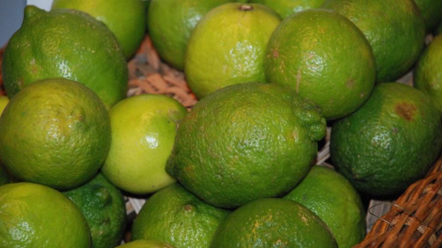 EE.UU. prohíbe entrada de frutas y vegetales procedentes de República Dominicana EE.UU. prohíbe entrada de frutas y vegetales procedentes de República Dominicana