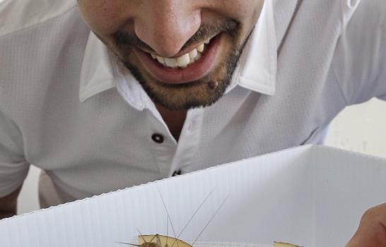 Emprendedores de los bichos alimentan el apetito de insectos