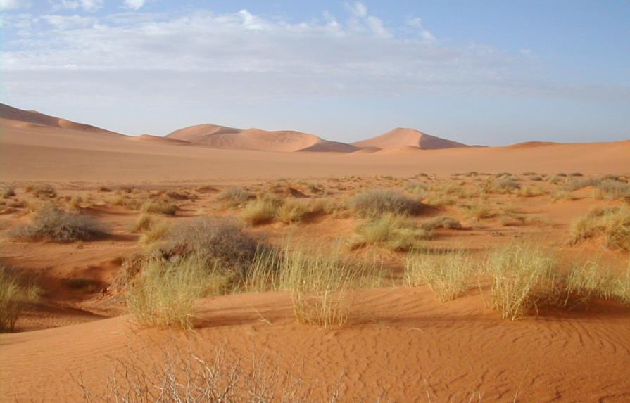 Usar los desiertos para producir electricidad limpia