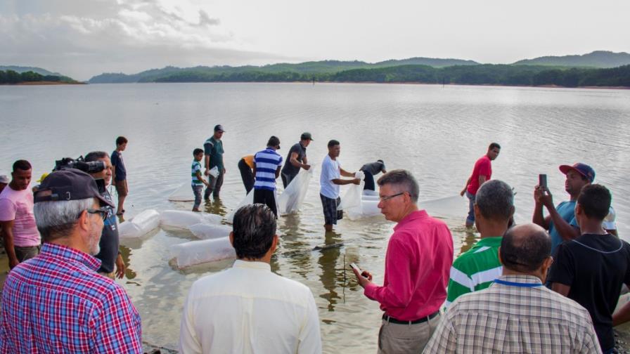 Liberan 50 mil crías de peces en la Presa de Rincón