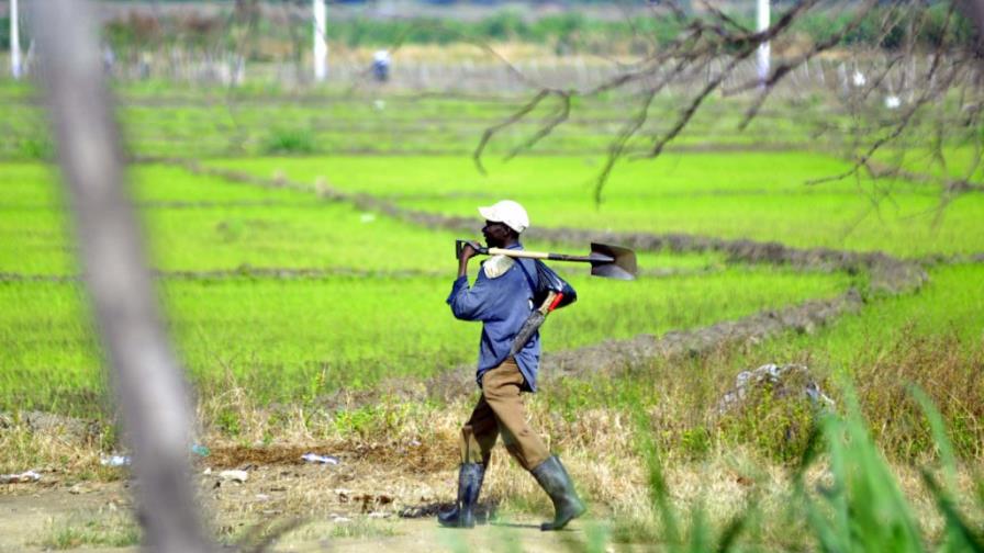 “La no regulación de inmigrantes le cuesta siete mil millones de pesos al Estado” “La no regulación de inmigrantes le cuesta siete mil millones de pesos al Estado”