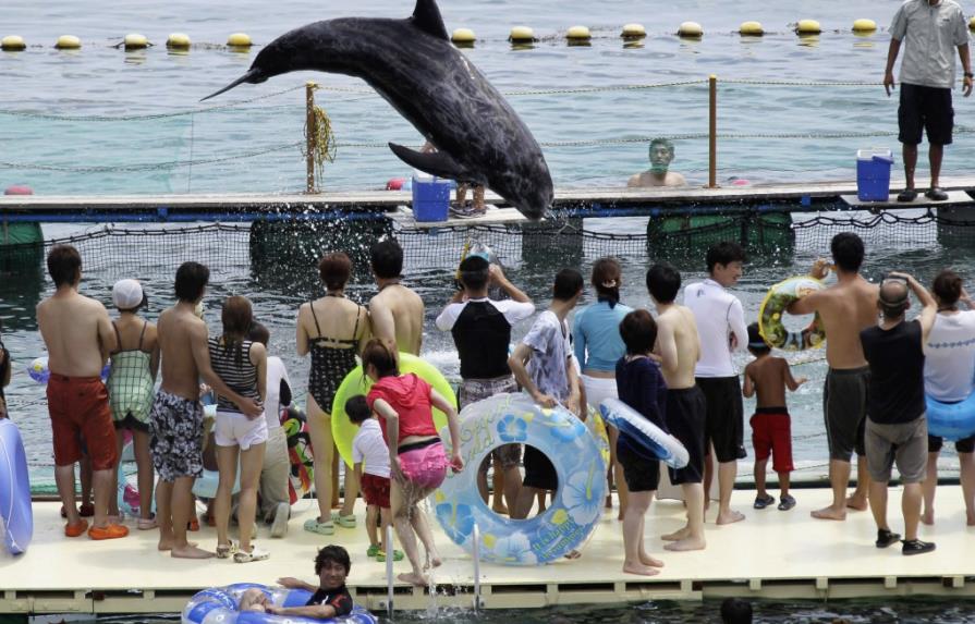 Acuarios en Japón dejarán de adquirir algunos delfines