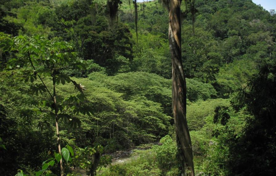 Honduras, país más peligroso para defensores medioambientales, según informe
