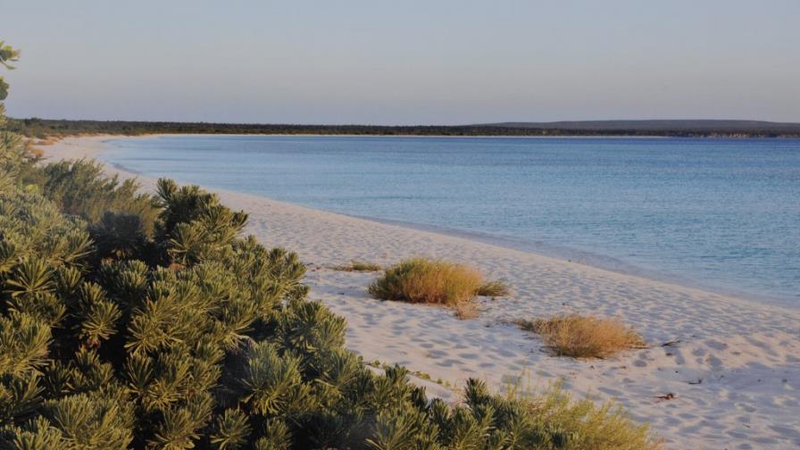 Domínguez Brito: Audiencia de este lunes es determinante en caso Bahía de Las Águilas