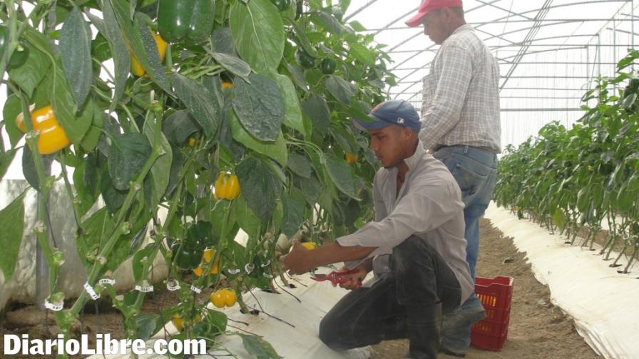 Empresa Canadá interesada en productos vedados por Estados Unidos Empresa Canadá interesada en productos vedados por Estados Unidos