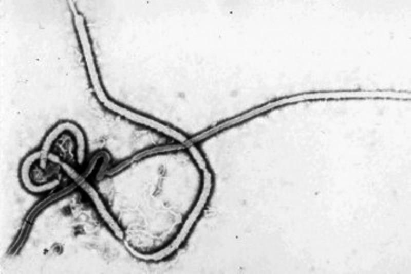Guinea reporta 27 casos nuevos de ébola