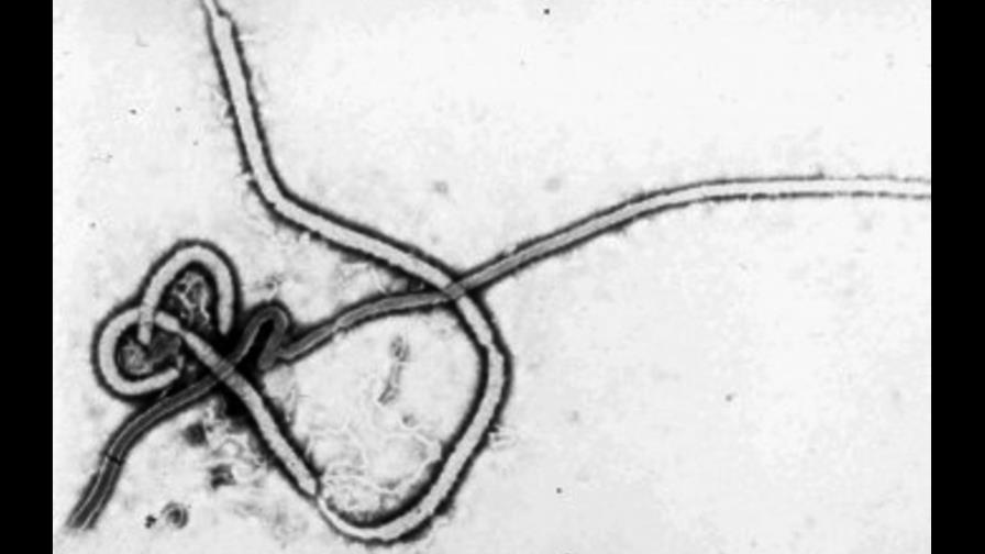 Guinea reporta 27 casos nuevos de ébola