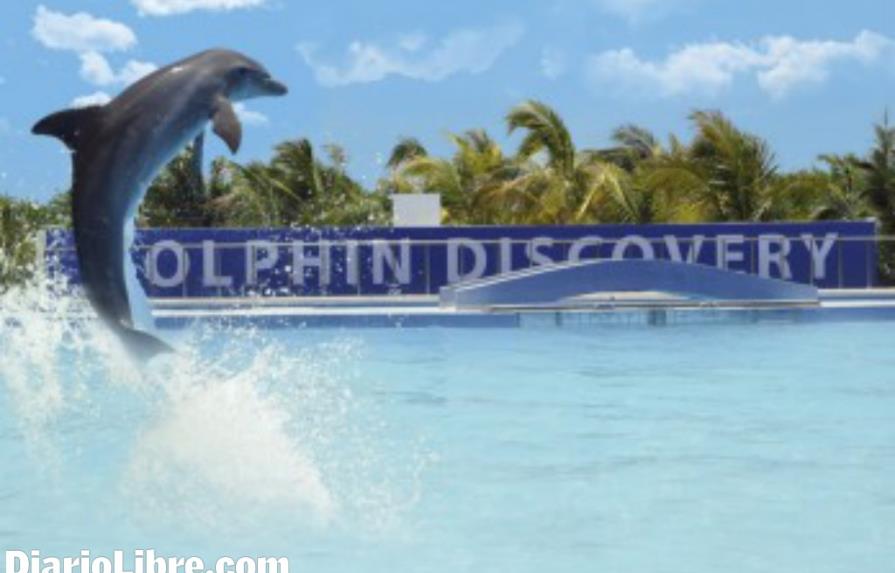 Academia de Ciencias califica de aberración permiso Delfinario Punta Cana