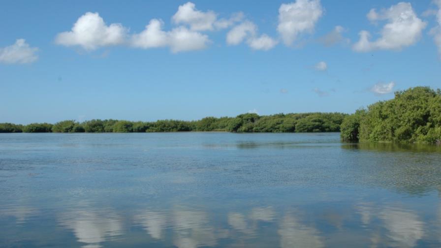 Contrato firmó empresa para Laguna Bávaro fue de concesión