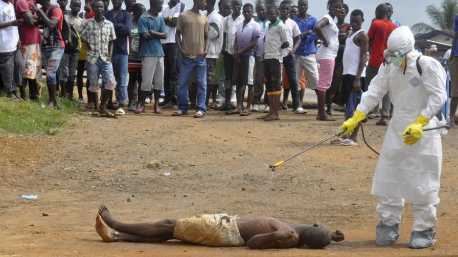 Agencia cuestiona respuesta de la OMS al ébola Agencia cuestiona respuesta de la OMS al ébola