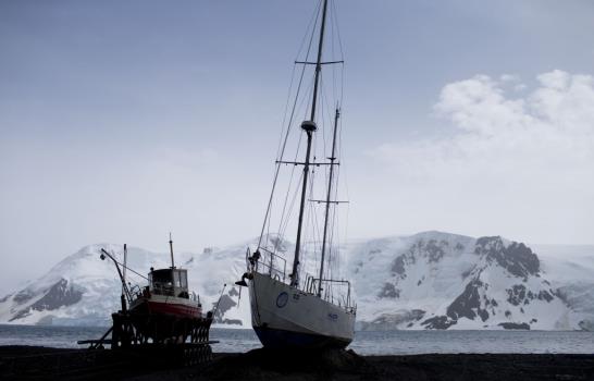 Turismo antártico: Prepárese para lo inesperado y lo exótico