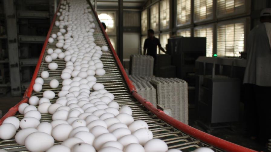 Piden parar la importación de productos avícolas desde Estados Unidos Piden parar la importación de productos avícolas desde Estados Unidos