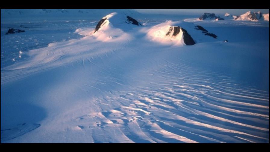 España desmantela red de pesca ilegal en la Antártida