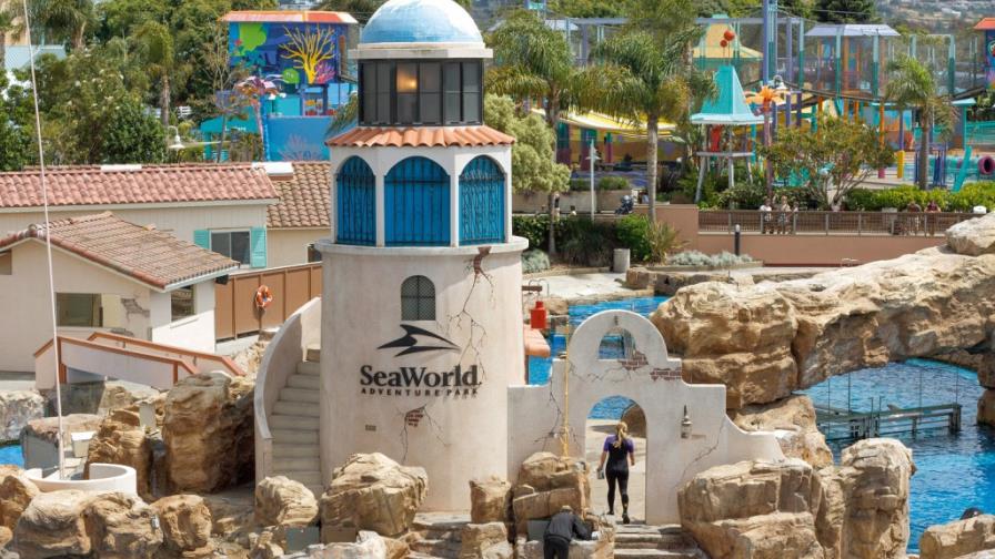 SeaWorld nombra nuevo jefe ejecutivo