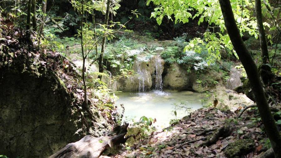 Servicio Geológico Nacional exhorta a preservar el agua