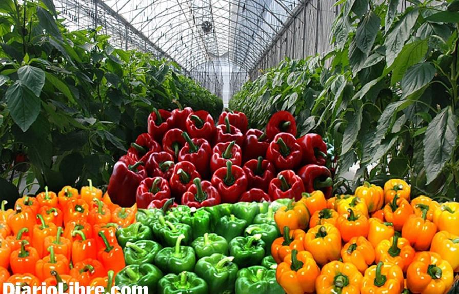 Productores están “con el grito al cielo” por veda a vegetales