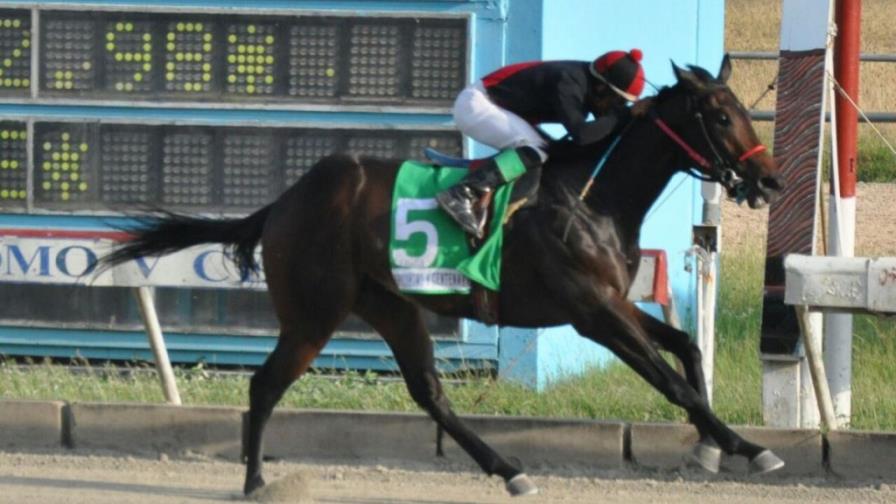 Kamikaze se impone en el hipodromo V Centenario