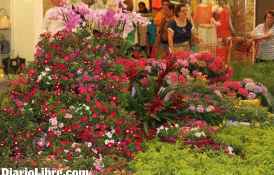 El Botánico y Ágora Mall exhiben flores