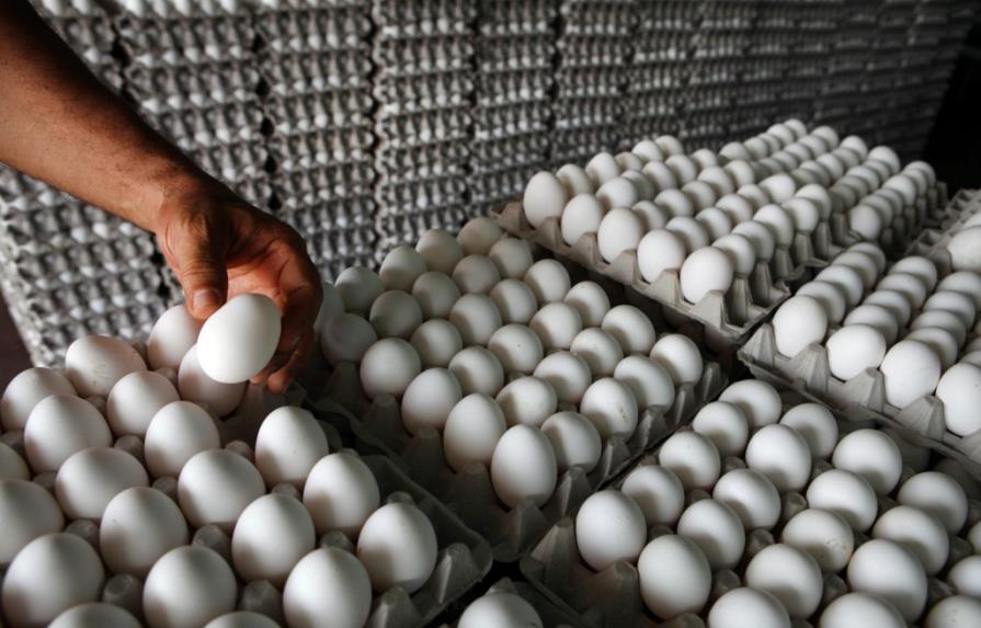 Prohibición de exportar huevos a Haití afectará a los pobres