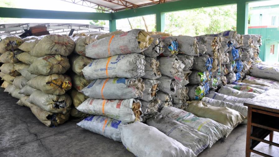 Medio Ambiente se incauta de dos mil sacos de carbón Medio Ambiente se incauta de dos mil sacos de carbón