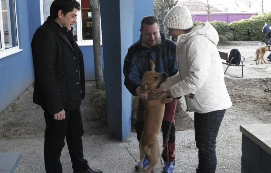Enfermera española que sanó de ébola adopta perra