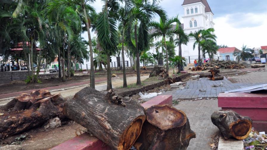 Someten al alcalde Gilberto Serulle por tala de árboles