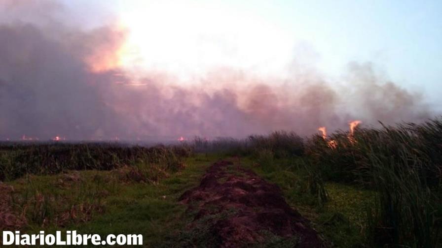 Controlan fuego en área boscosa de Laguna Saladillo