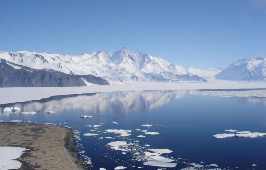 La biodiversidad de la Antártida es más rica de lo que se pensaba