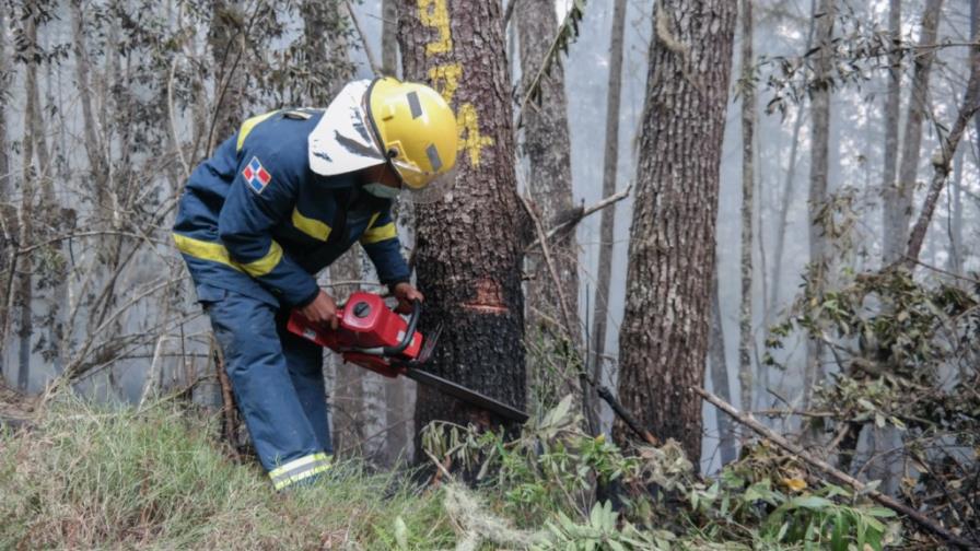 Medio Ambiente niega que hará un aserradero en Valle Nuevo