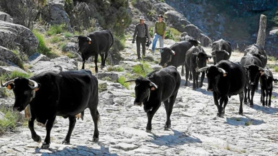 Nace en Italia el Museo de la Mierda, con excrementos como foco artístico Nace en Italia el Museo de la Mierda, con excrementos como foco artístico