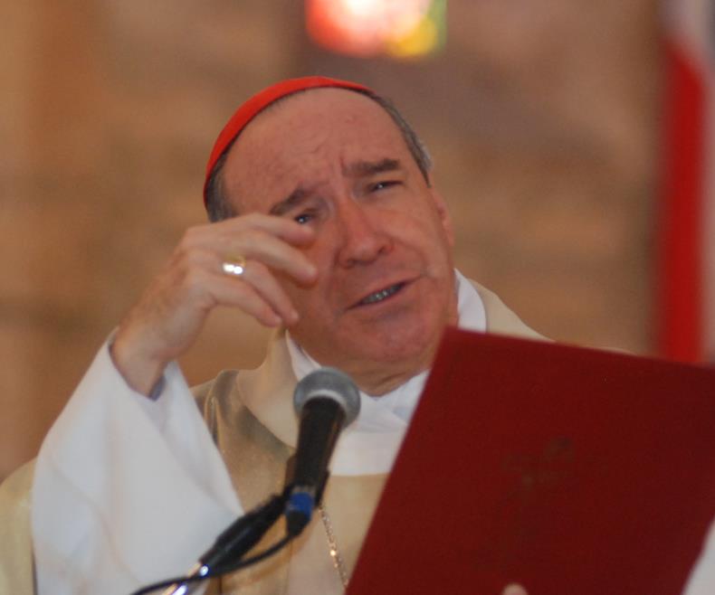 Cardenal apoya recurso de inconstitucionalidad contra el Código Penal